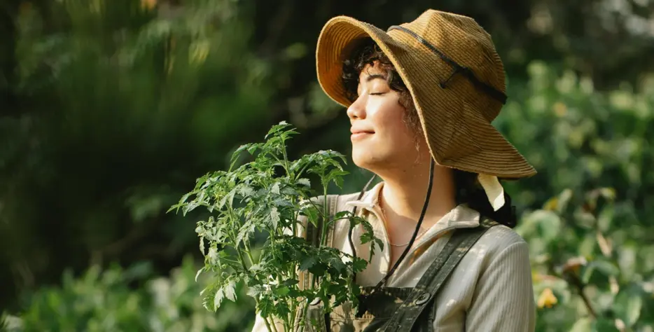 We grow fresh, organic produce using clean methods that protect nature, healthy food.