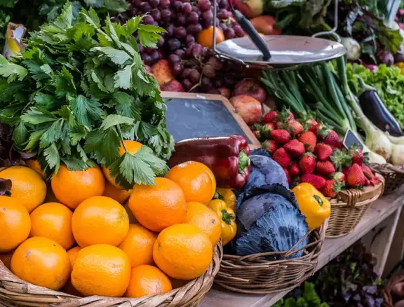 We grow fresh, organic produce using clean methods that protect nature, healthy food.