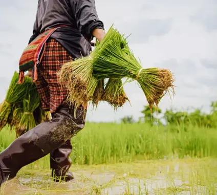 There are many variations of passages of Lorem Ipsum available, but majority have suffered teration in some form, by injected humour, or randomised words which don't look even slight believable. If you are going to use a passage of Lorem Ipsum.