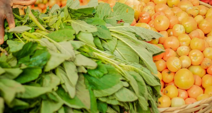 There are many variations of passages of Lorem Ipsum available, but majority have suffered teration in some form, by injected humour, or randomised words which don't look even slight believable. If you are going to use a passage of Lorem Ipsum.